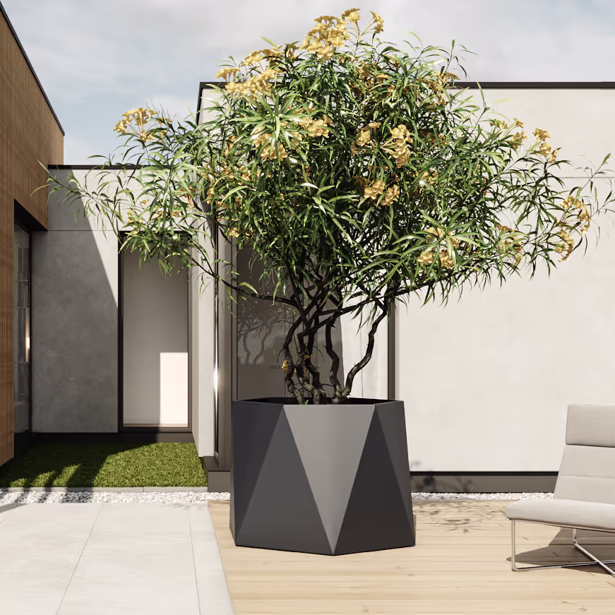 Artig Metall Hexagon Pflanzengefäß in Schwarz mit Baum auf Terrasse