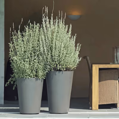 Anthrazitfarbene Swisspearl Alto Pflanzgefäße mit Büschen auf der Terrasse.