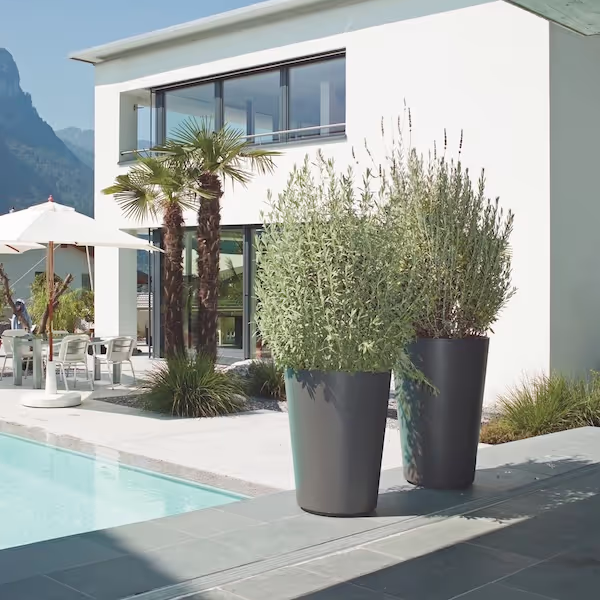 Anthrazitfarbene Swisspearl Alto Pflanzgefäße mit Büschen vor einem Pool.
