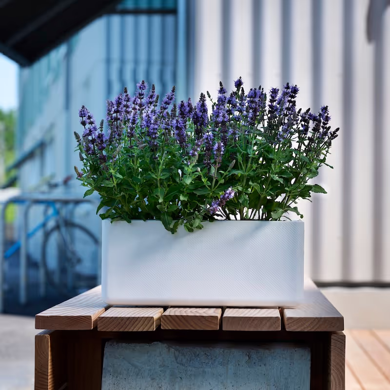 Lavendel gepflanzt im Balconia Pflanztopf von Swisspearl
