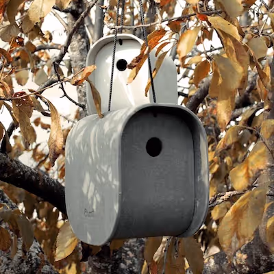 Zwei Swisspearl Birdie Vogelhäuser hängen in einem Baum.