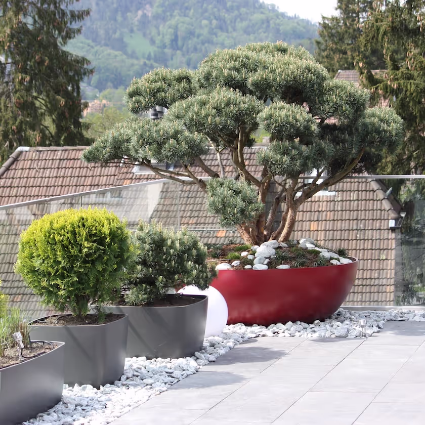 Anthrazitfarbene und rote Swisspearl Pflanzgefäße auf der Terrasse.