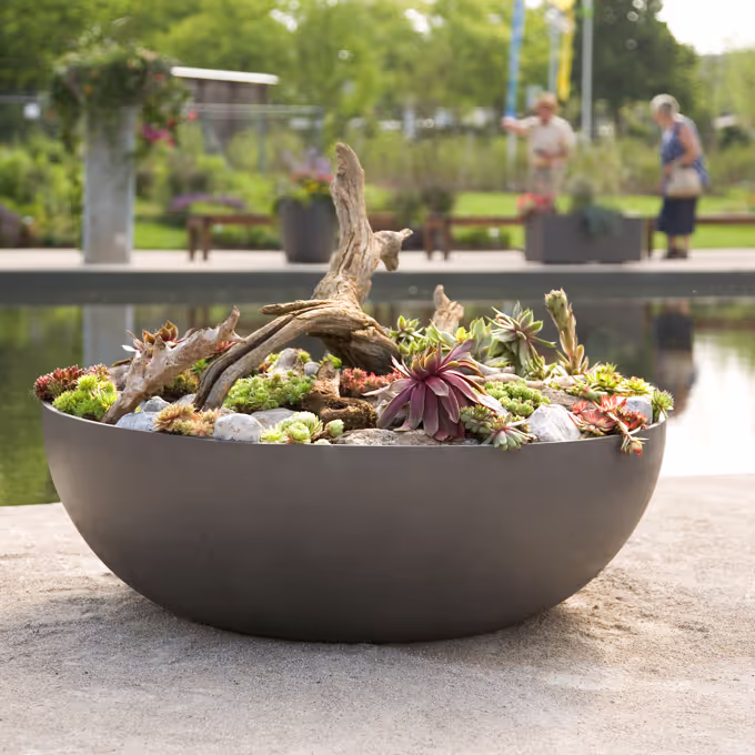 Anthrazitfarbenes Swisspearl Bonsai Pflanzgefäß mit kleinen Pflanzenarrangements vor einem Teich.