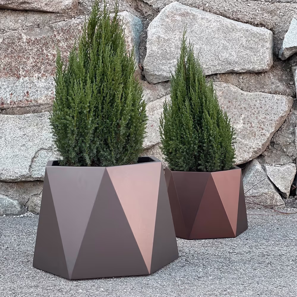 Hexagon Artig Metall Pflanzgefäße mit kleinen immergrünen Bäumen 