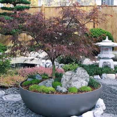 Swisspearl Lausanne Pflanzgefäß mit Baum im Garten.