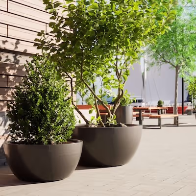 Zwei Swisspearl Lausanne Pflanzgefäße mit Busch und Baum vor einem Gebäude.