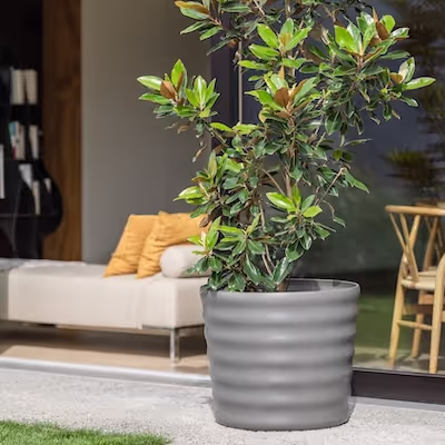 Großes graues Swisspearl Maia Pflanzgefäß mit Baum vor einer Schiebetür aus Glas.