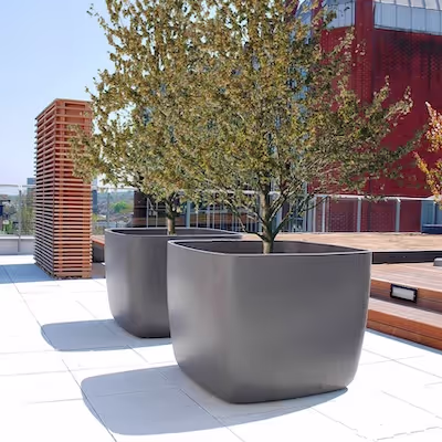 Große anthrazitfarbene quadratische Swisspearl Osaka Pflanzgefäße mit Bäumen auf einer großen öffentlichen Terrasse.