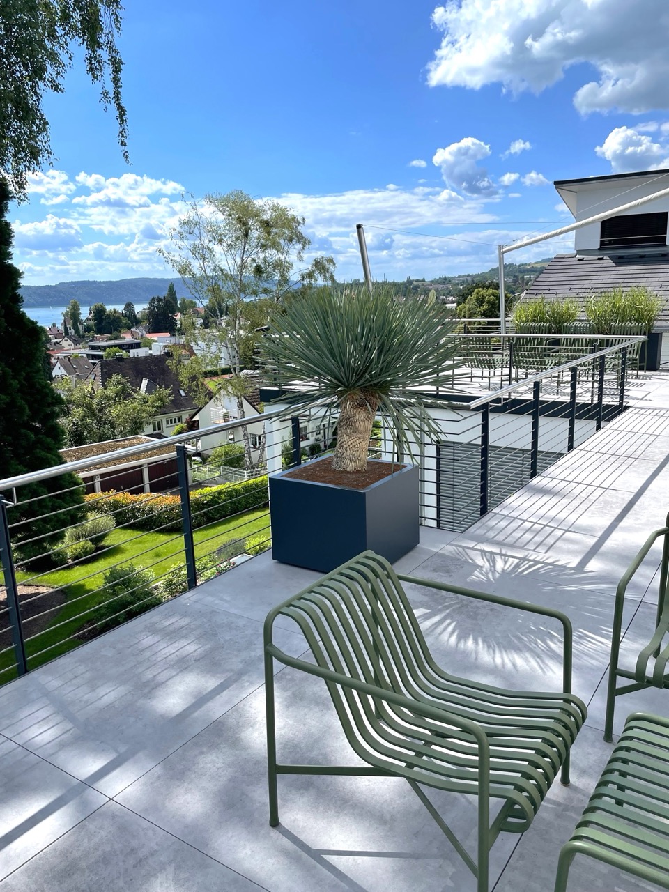 Palme in schwarzen Domino Plant-Töpfen auf dem Balkon